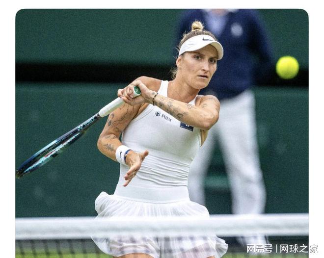 一个例证 一个例证